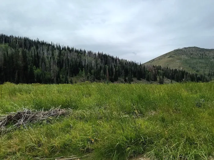 Fish Creek Campground 2