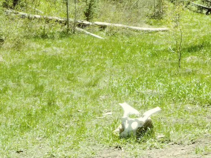 Fish Creek Campground 6