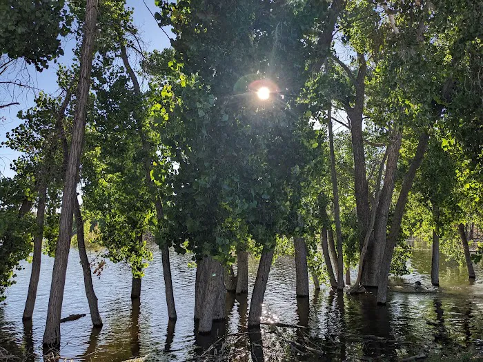 Steinaker State Park Group Campground 1