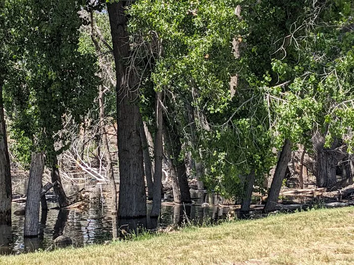 Steinaker State Park Group Campground 2