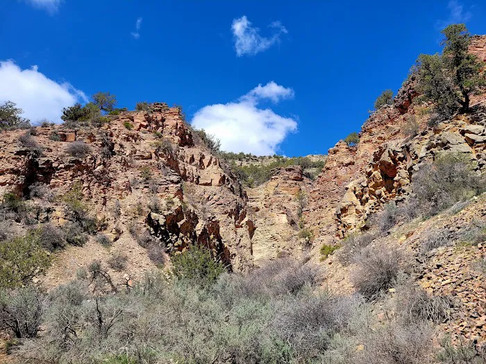 BLM North Fruita Campground 1