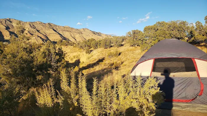 BLM North Fruita Campground 5