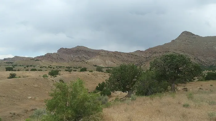 BLM North Fruita Campground 4