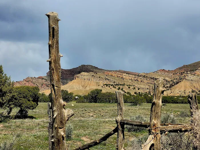 BLM North Fruita Campground 9