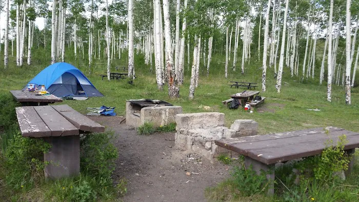 Fruita Picnic Site (recgovnpsdata) 8