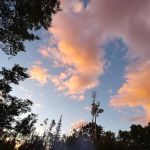 Hay Press Campground