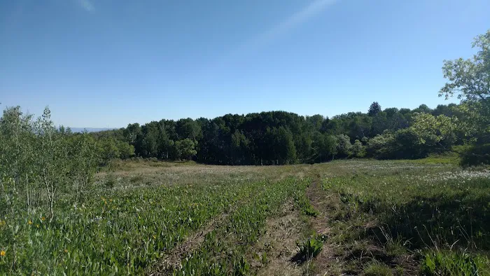 Hay Press Campground 4