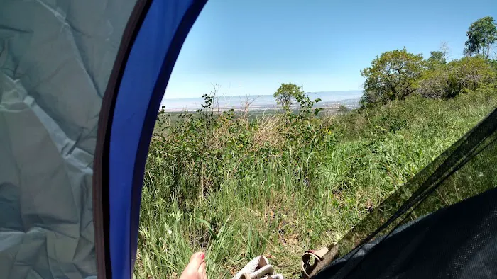 Hay Press Campground 5
