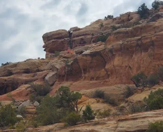Black Rocks 1-4 Campsite