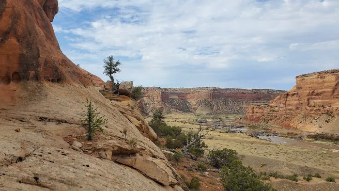 Black Rocks 1-4 Campsite 6