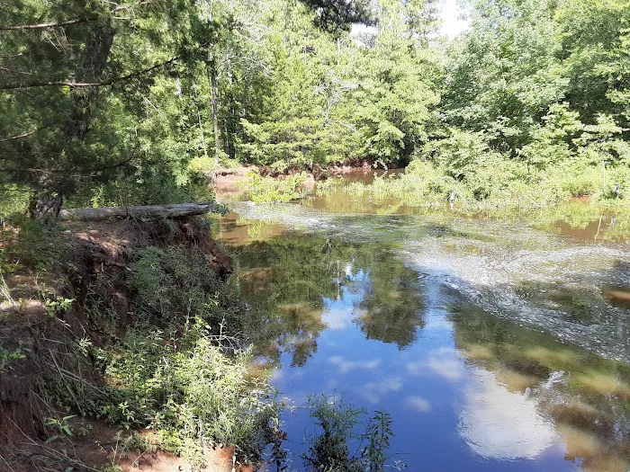 Ivan Lake Recreation Area 5