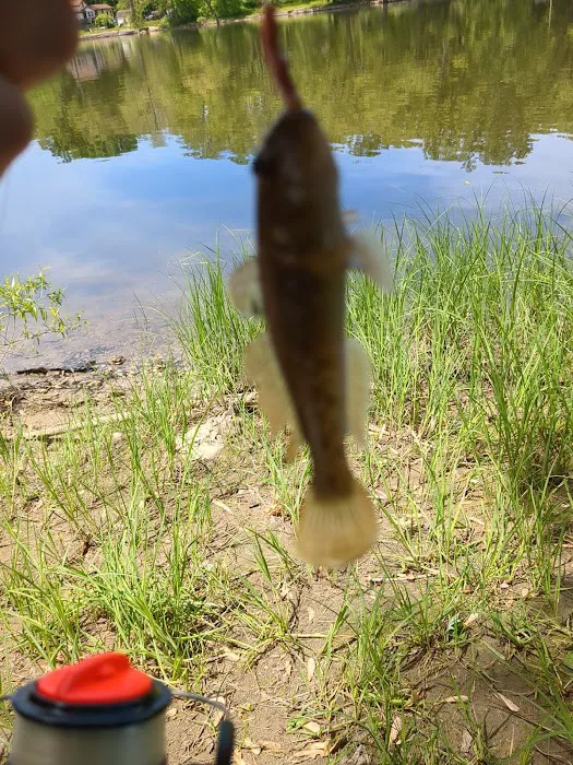 Ivan Lake Recreation Area 8
