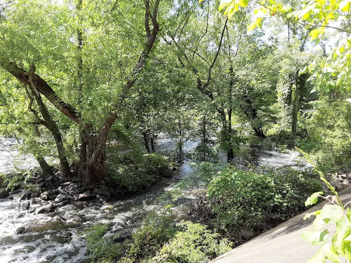 Ivan Lake Recreation Area 7