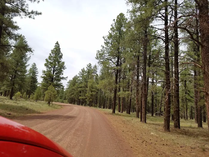 White Horse Lake Campground 4