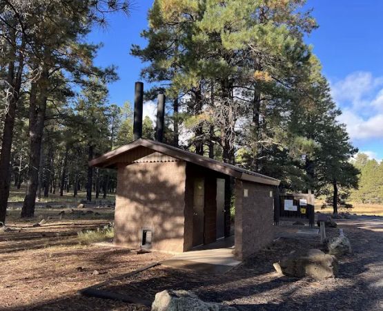 Dogtown Lake Campground And Group