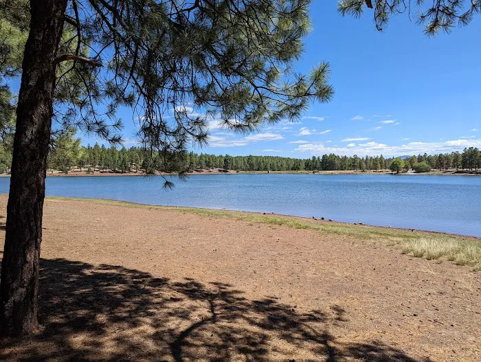 Dogtown Lake Campground And Group 2
