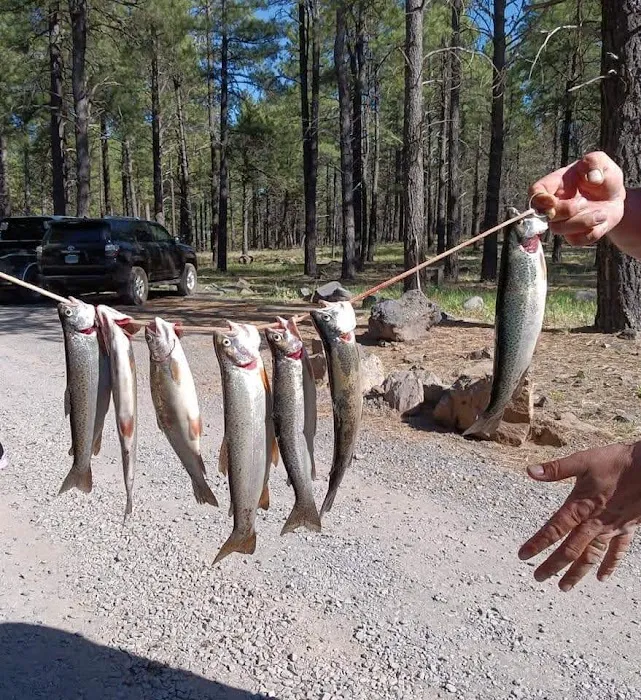 Dogtown Lake Campground And Group 3