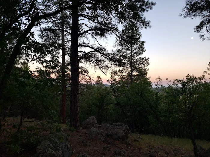 Dogtown Lake Campground And Group 6
