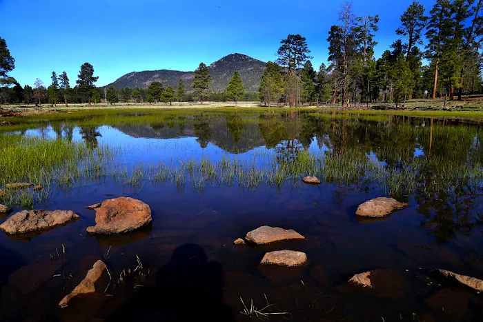 Dogtown Lake Campground And Group 9