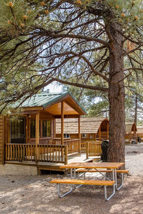 Williams / Exit 167 / Circle Pines KOA Holiday 5