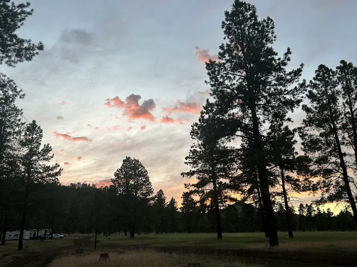 Bill Williams Campground 2