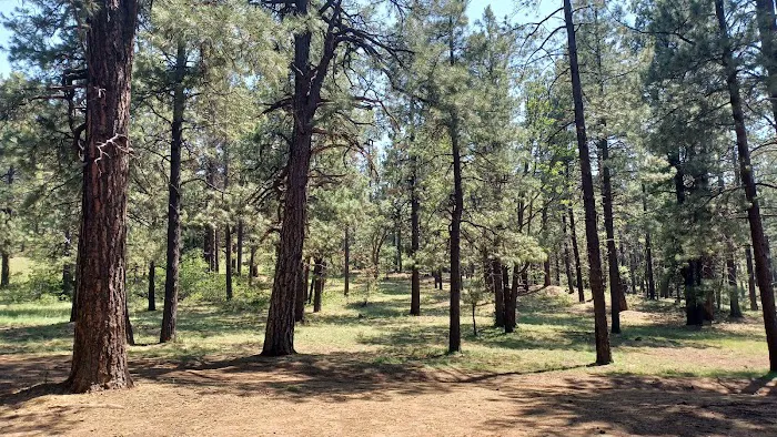 Bill Williams Campground 1