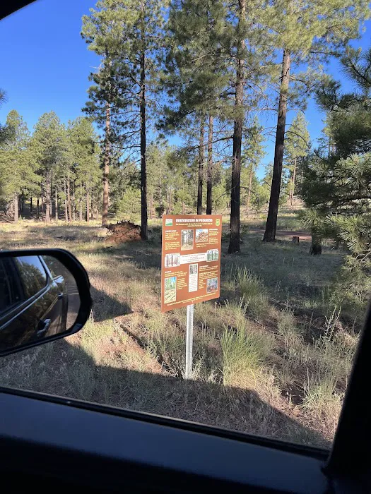Bill Williams Campground 3