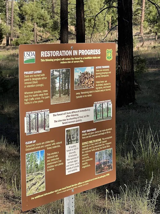 Bill Williams Campground 4