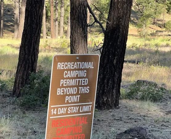 Bill Williams Campground