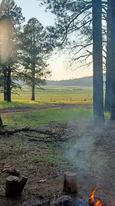 Bill Williams Campground 6