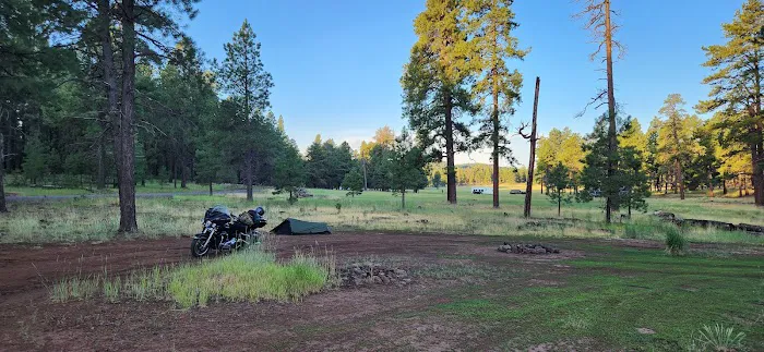 Bill Williams Campground 8