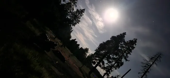 Bill Williams Campground 7