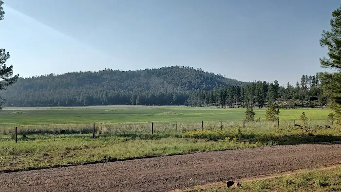 Bill Williams Campground 5