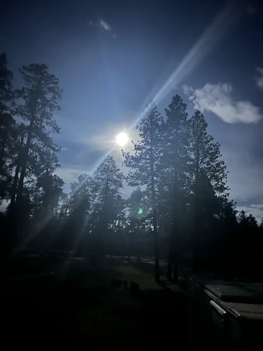 Bill Williams Campground 9