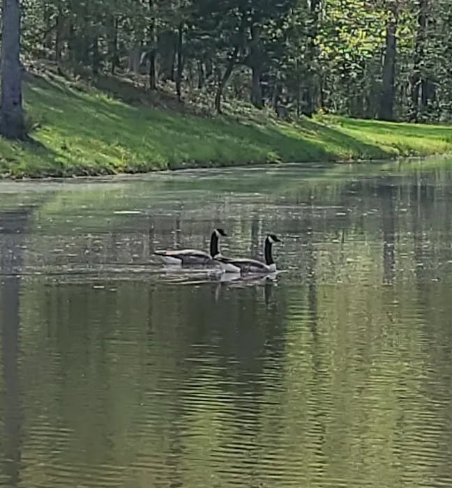 Goose Pond Road Camp 2