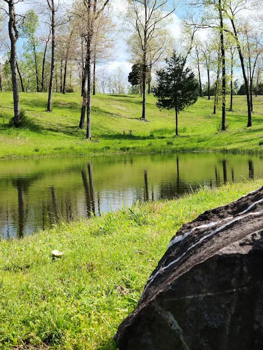 Goose Pond Road Camp 1