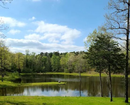 Goose Pond Road Camp