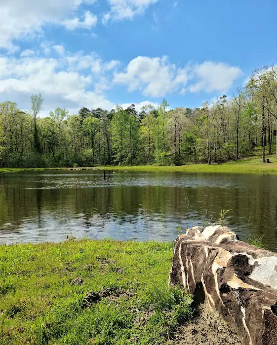Goose Pond Road Camp 4