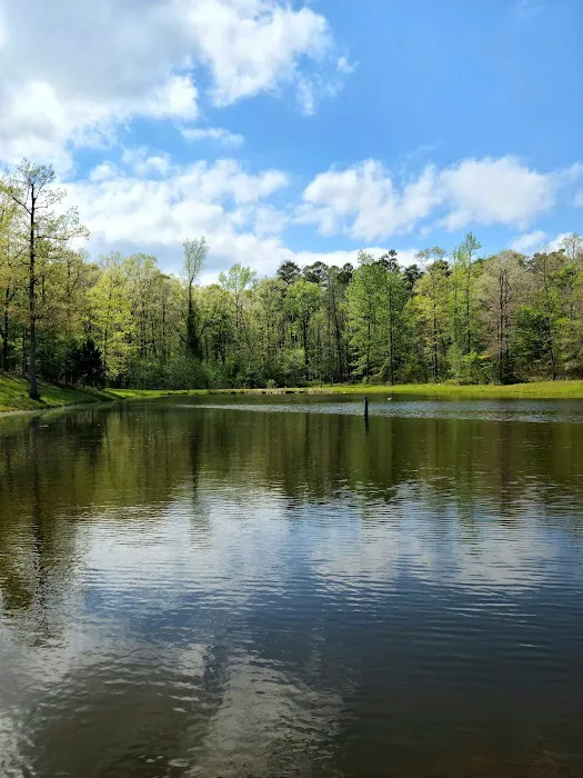 Goose Pond Road Camp 3