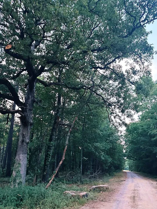 Camp Robinson RV Park 1