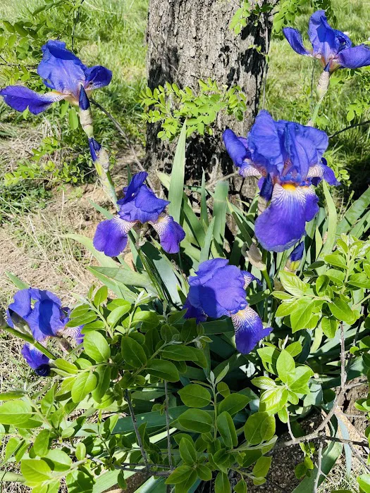 V&B Village Picture 1