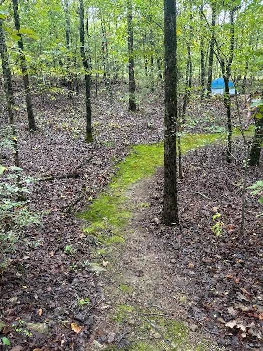 Barefoot Gardens Homestead, Camp and Learning Center 6