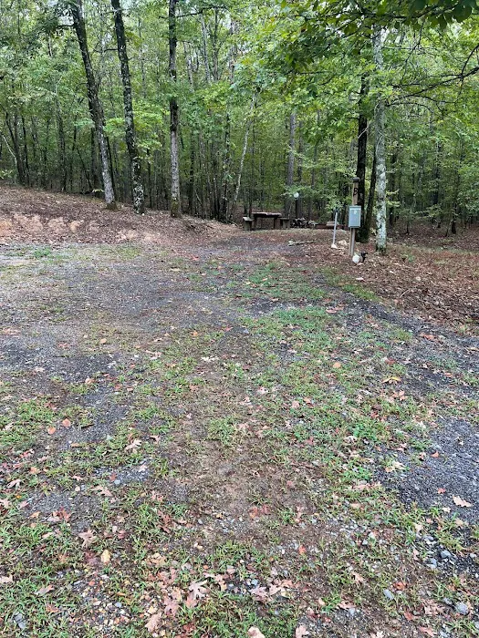 The Ponds RV Park 2