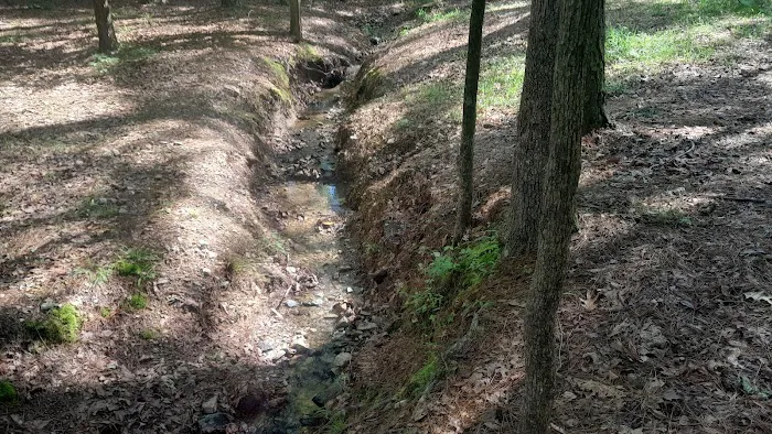 Lake Catherine State Park Campground 2