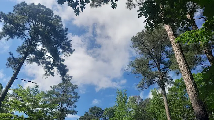 Lake Catherine State Park Campground 5