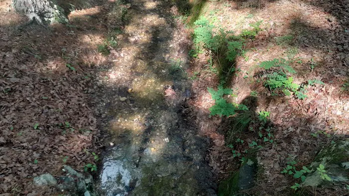 Lake Catherine State Park Campground 9