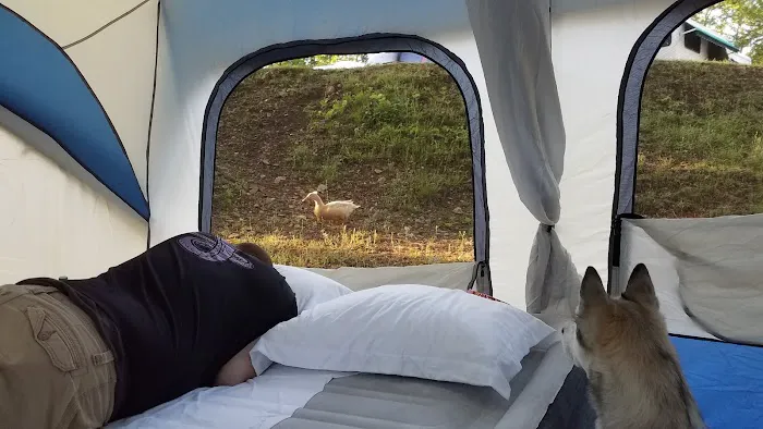 Hot Springs National Park KOA Holiday 1