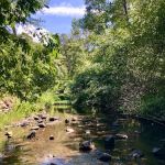 Gulpha Gorge Campground