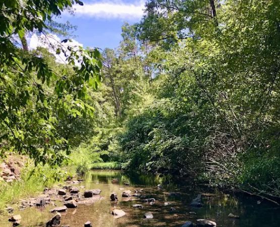 Gulpha Gorge Campground