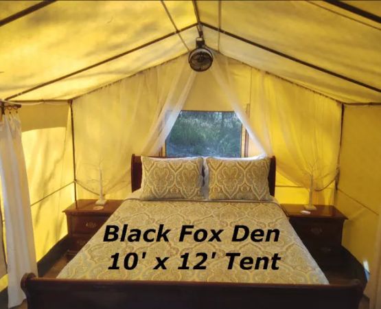 Camp Wildcat - Secluded Glamping by Reservation